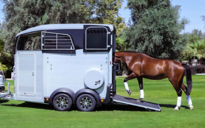 What to Look for in a Reliable Horsebox Trailer