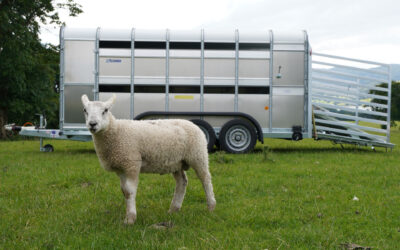 Choosing the Best Livestock Trailer in Cambridgeshire