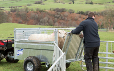 Choosing the Right Livestock Trailer for Your Farm’s Needs