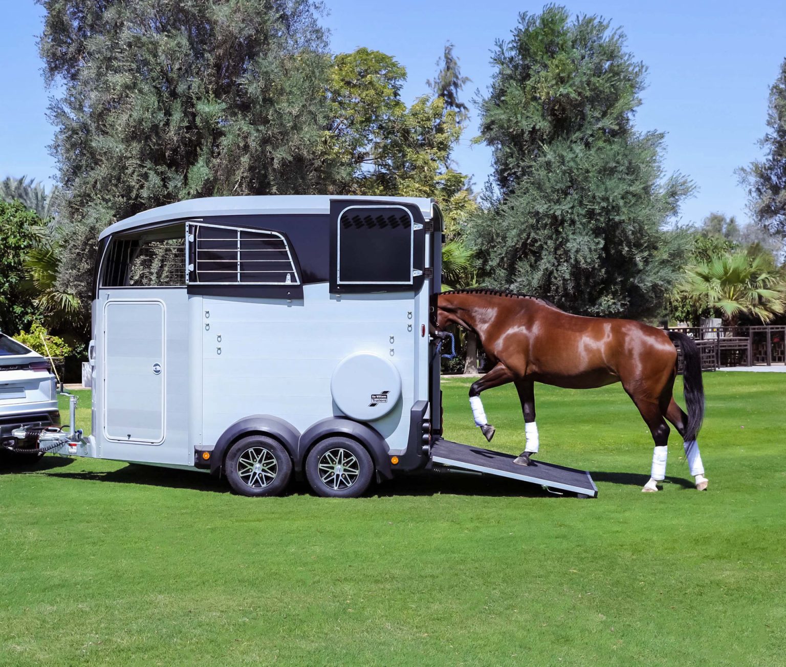 Ifor Williams HBX506 Horse Trailer With Horse walking in