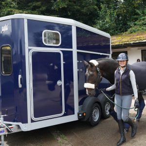 Ifor Williams HB506 Horse Trailer